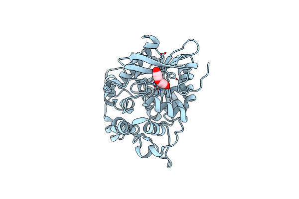 5URO image