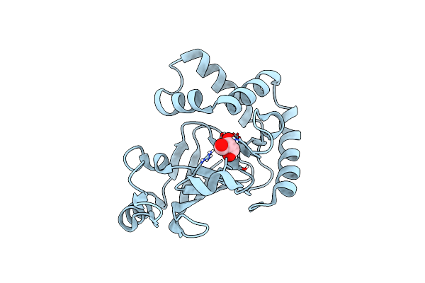 5URP image