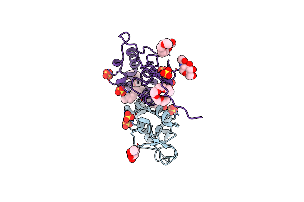 5URV image