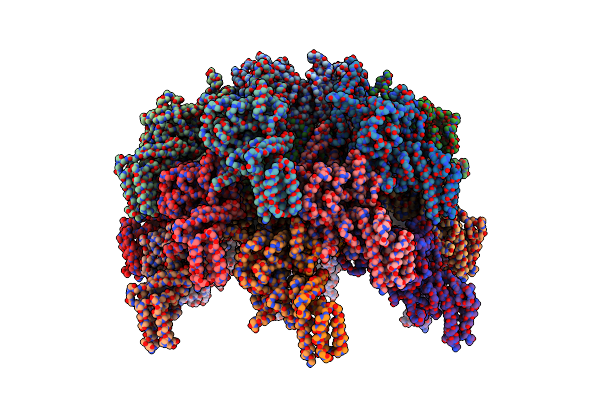 5URW image