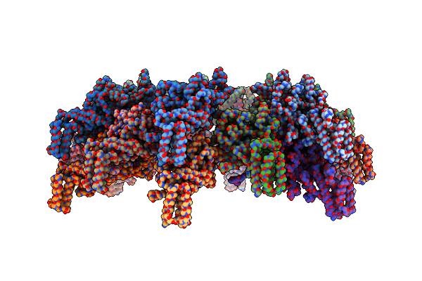5URX image