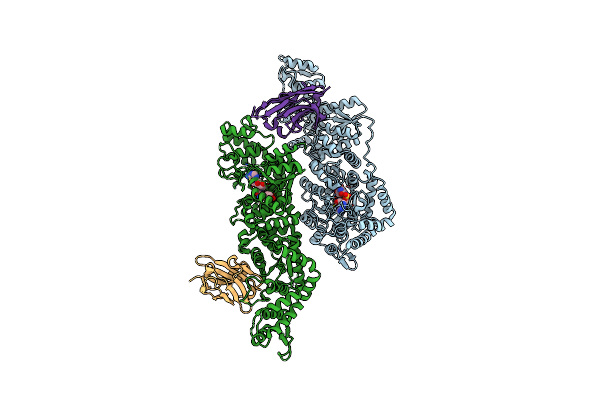 5USF image