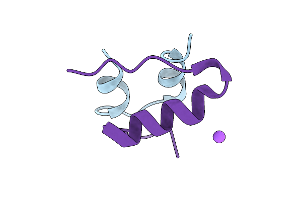 5USP image