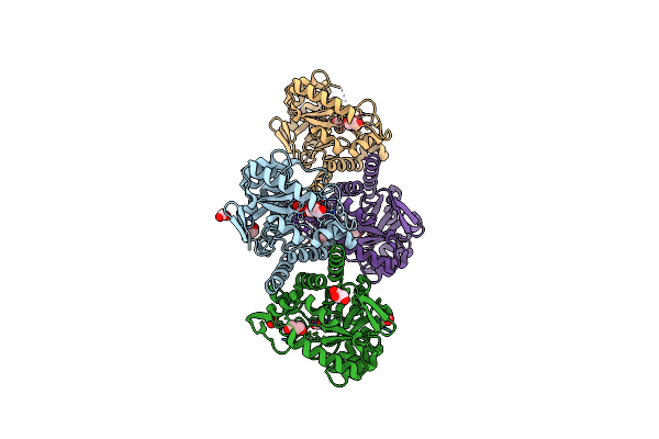 5USW image