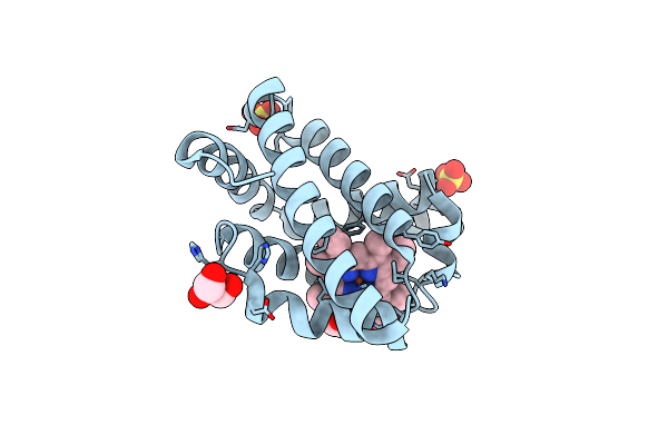 5UTB image
