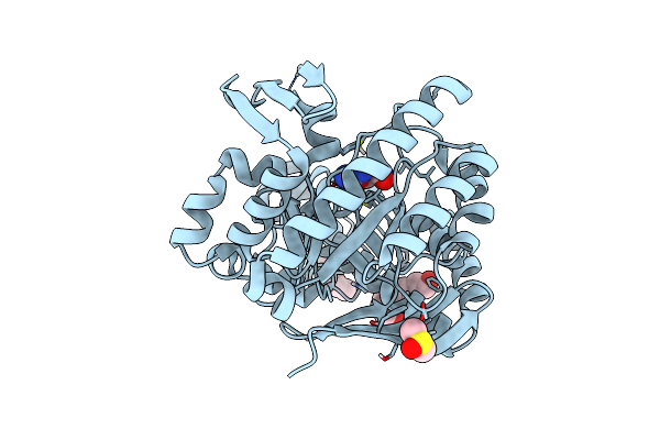 5UTI image