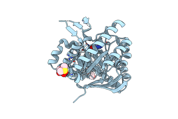 5UTJ image