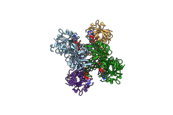 5UTM image