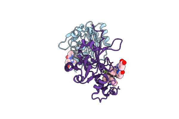 5UTN image