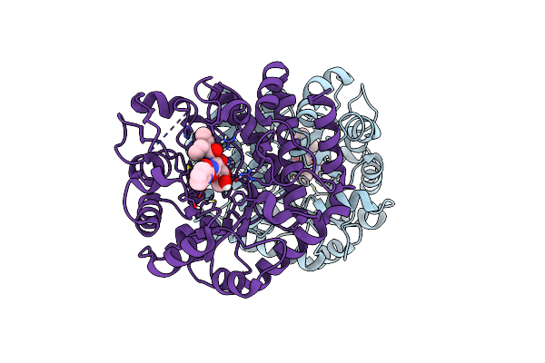5UTP image