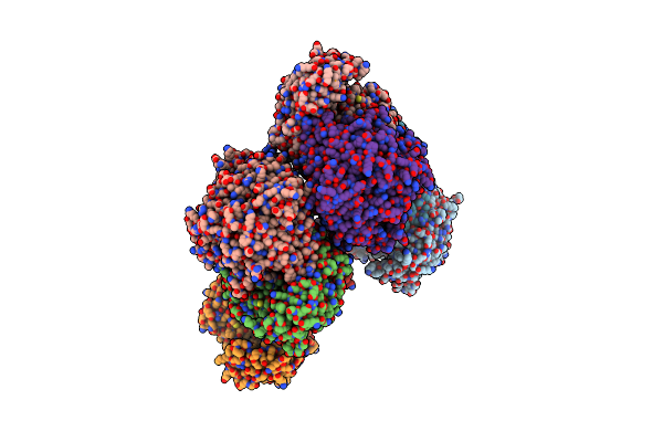 5UTS image