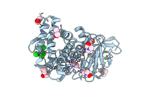 5UUD image