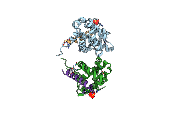 5UUM image