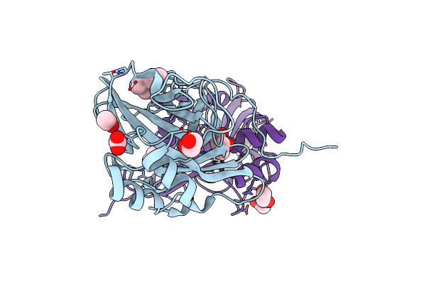 5UUS image