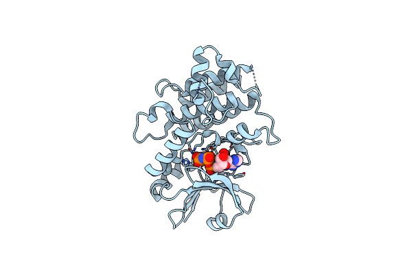 5UV4 image