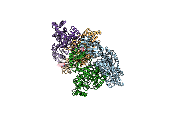 5UV5 image