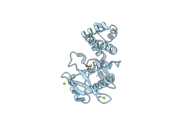 5UVD image