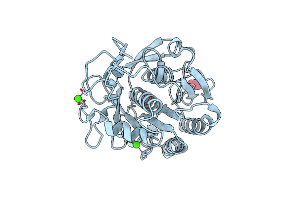 5UVL image