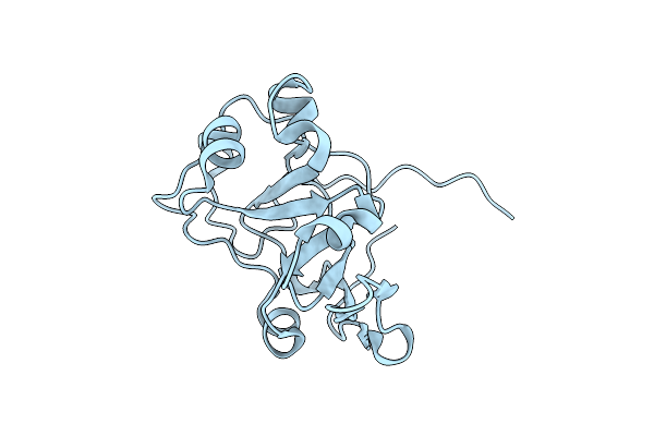 5UVQ image