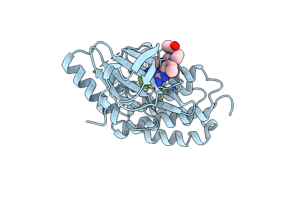 5UWD image