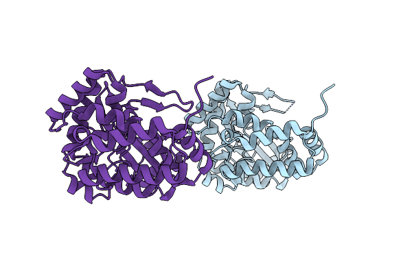 5UXB image
