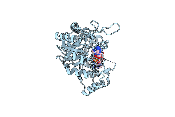 5UXF image