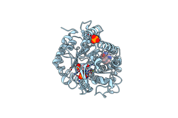 5UXM image