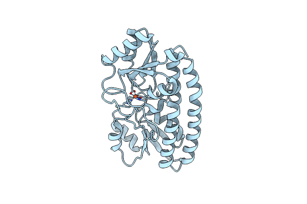 5UYB image