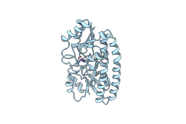 5UYC image