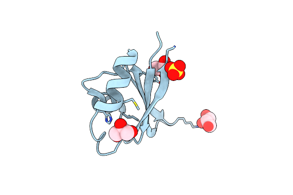 5UZN image