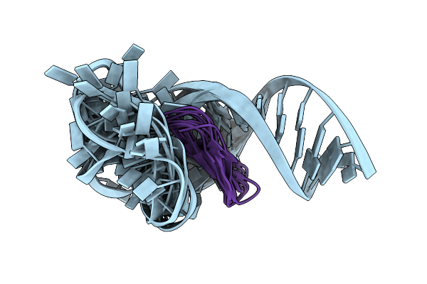 5UZZ image