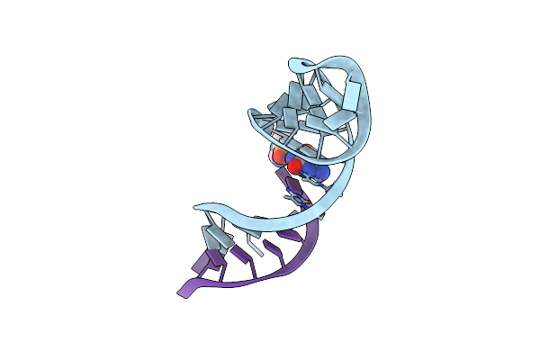 5V0O image
