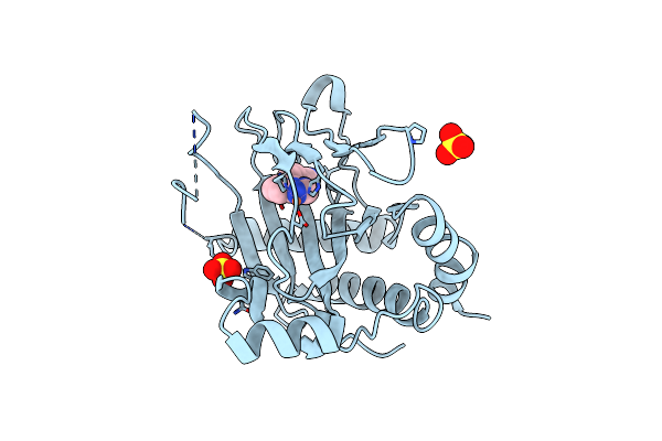 5V1B image