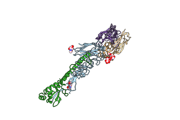 5V2A image