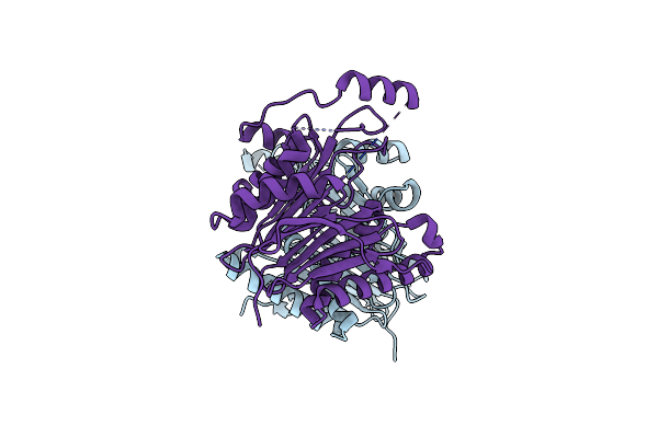 5V2I image