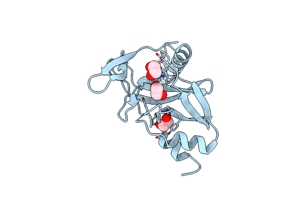 5V2N image