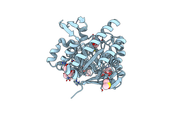 5V3C image