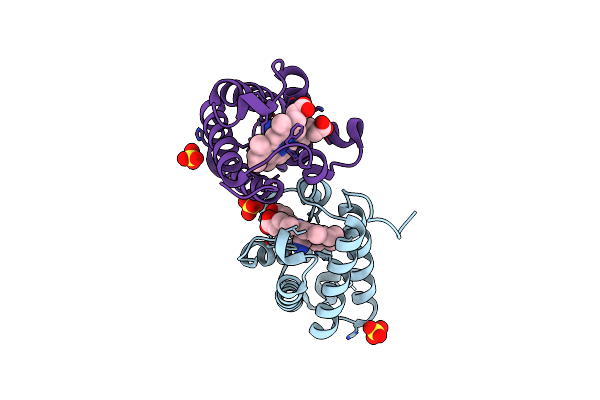 5V3T image