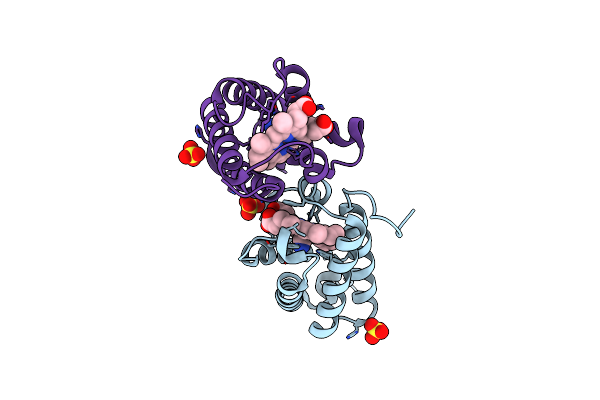 5V3V image