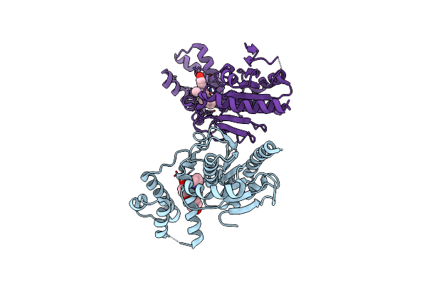 5V3Y image