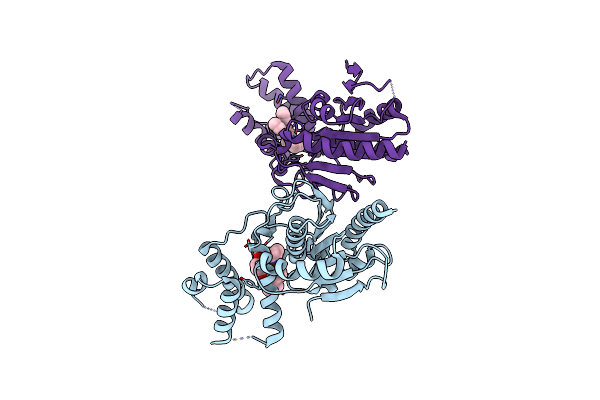 5V42 image