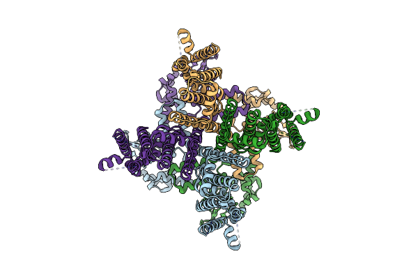 5V4S image