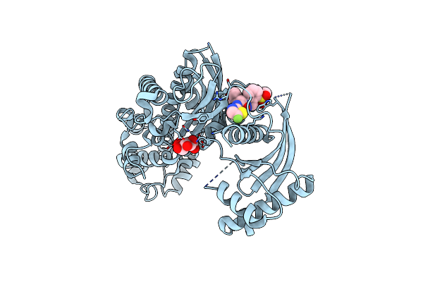5V4W image