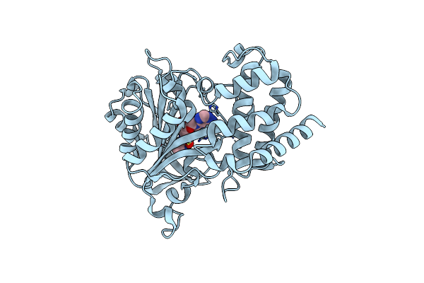 5V59 image