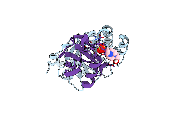 5V5H image