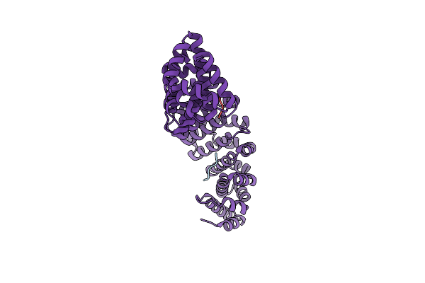 5V5P image