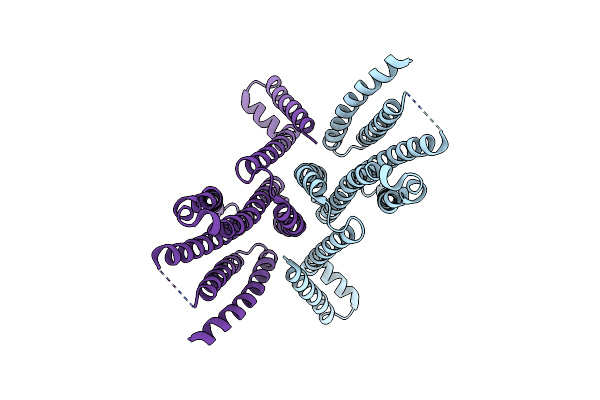5V6P image