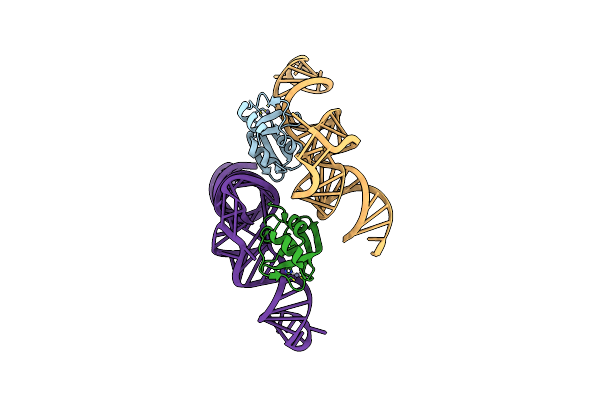 5V6X image