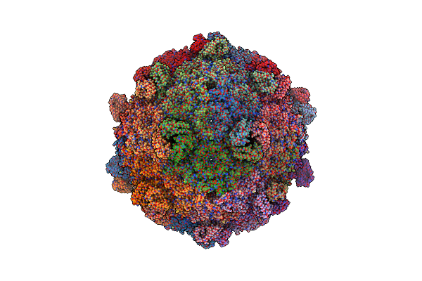 5V74 image