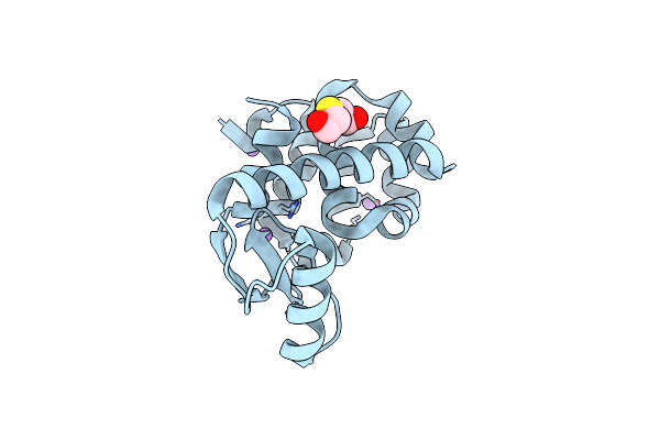 5V7E image